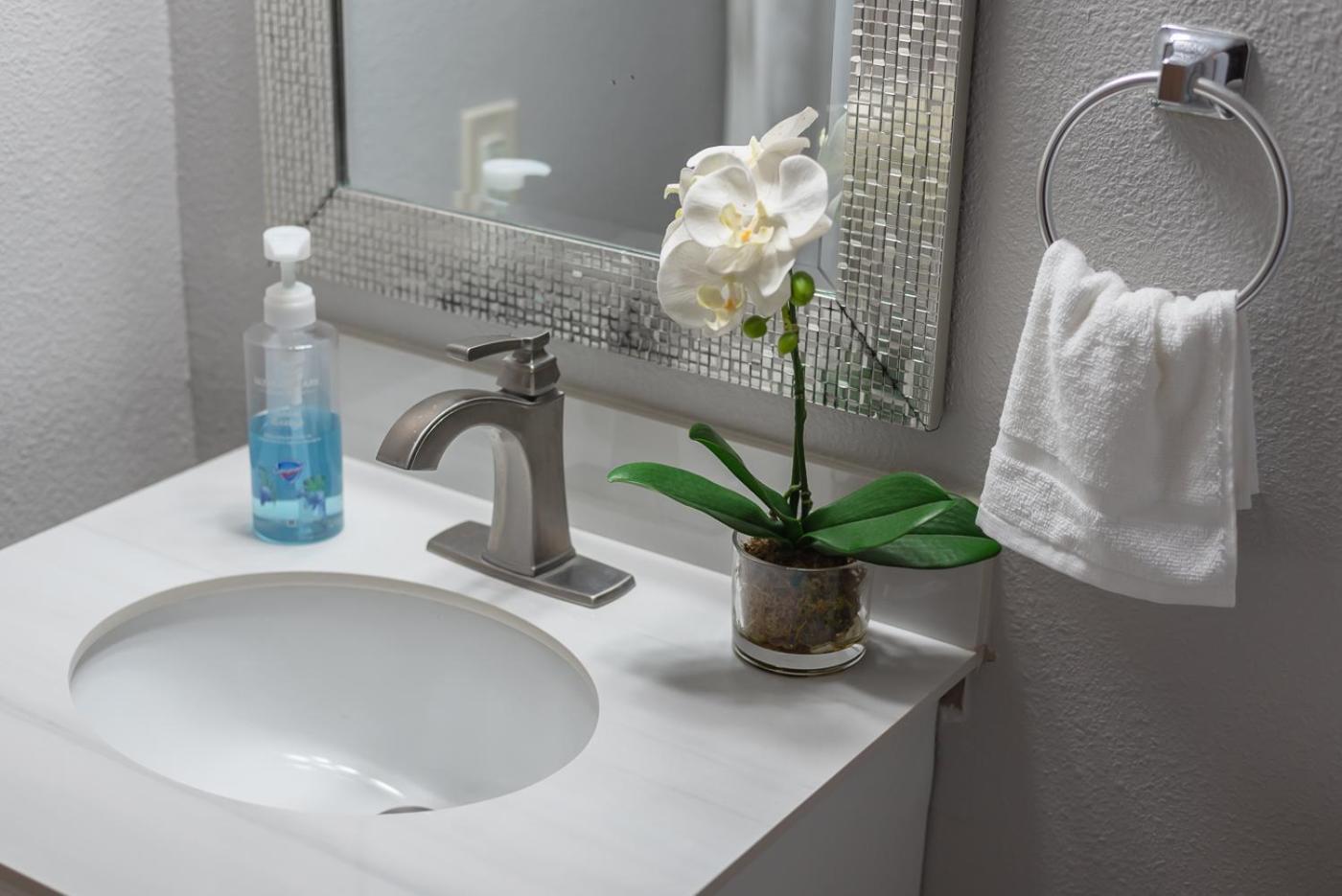 Beautiful Apartment At The Botanical Gardens #1 Σαν Αντόνιο Εξωτερικό φωτογραφία
