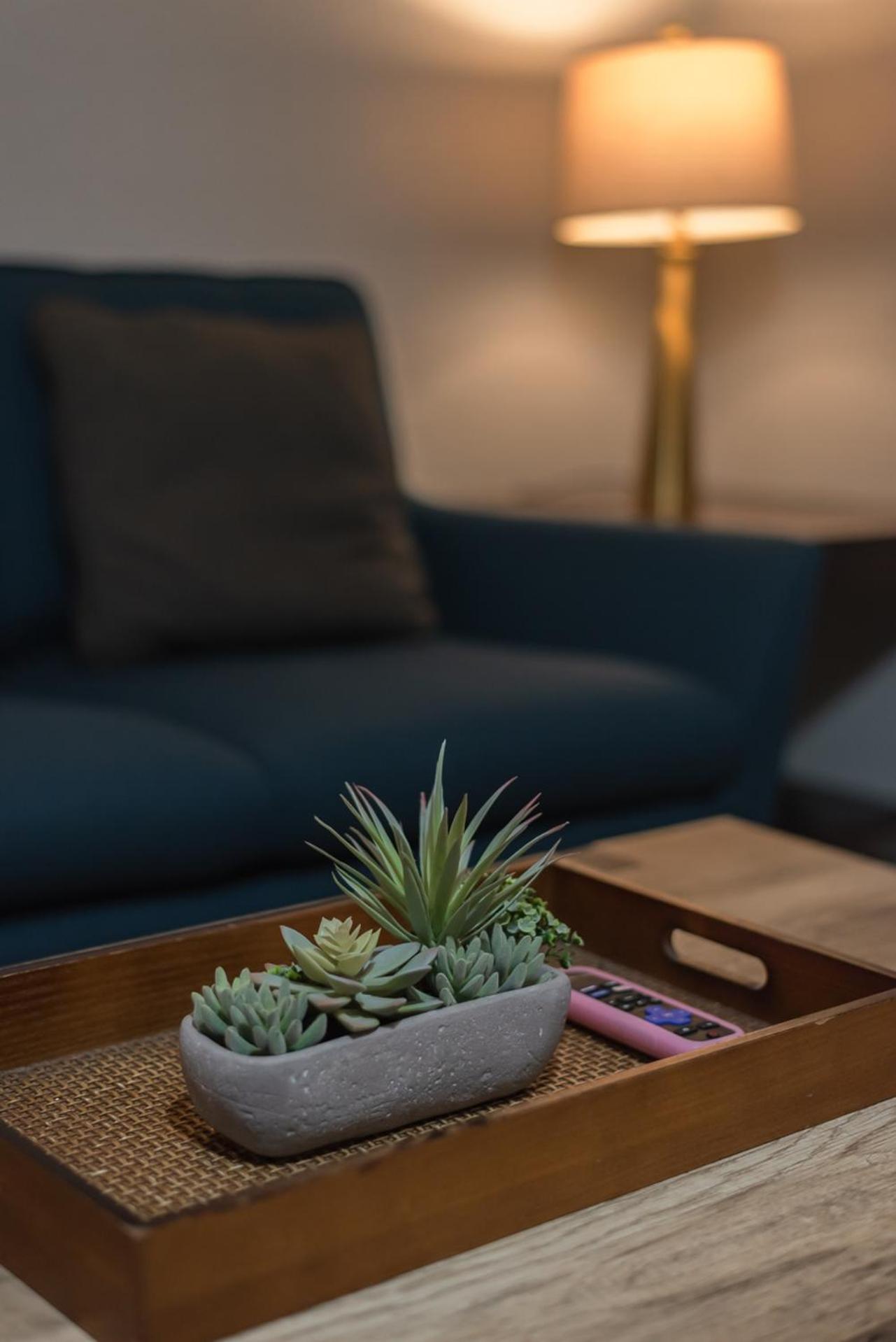Beautiful Apartment At The Botanical Gardens #1 Σαν Αντόνιο Εξωτερικό φωτογραφία